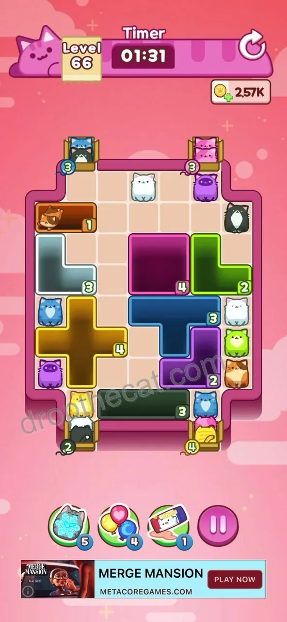 Drop The Cat Level 66 step 2