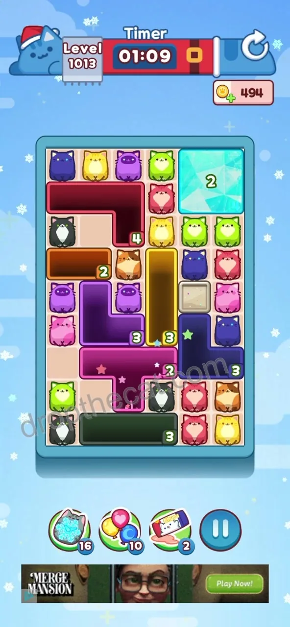 Drop The Cat Level 1013
